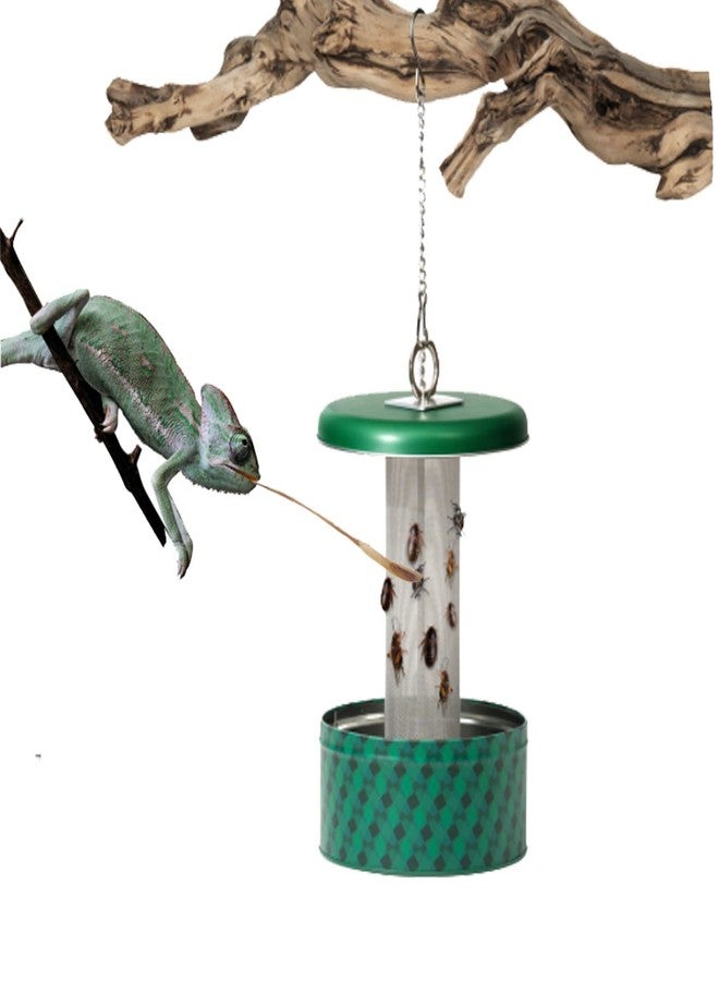 Abustle pig Chameleon Feeding Bowl,Hookable Lizard Feeder with Metal Mesh Column for Prey to Climb and Move,Suitable for Lizard, Iguana, Gecko,Bearded Dragon - Image 1
